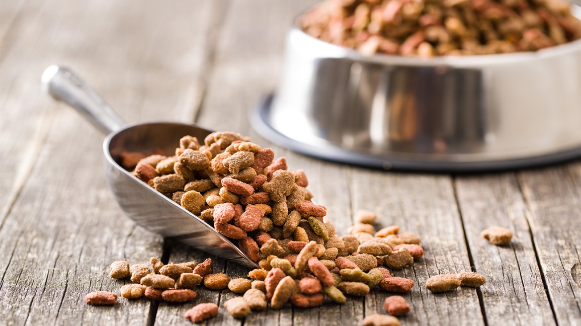 The shocking truth behind store-bought pet food