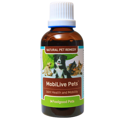 Natural Arthritis Medicine For Pets In South Africa