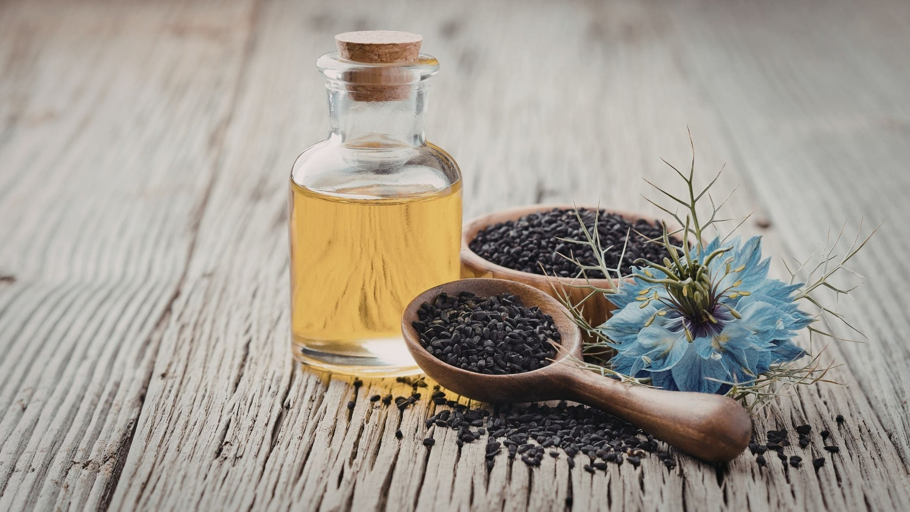 Glass bottle of golden black seed oil placed on a rustic wooden surface, with wooden spoons filled with black cumin (Nigella sativa) seeds and a blue Nigella flower beside it.