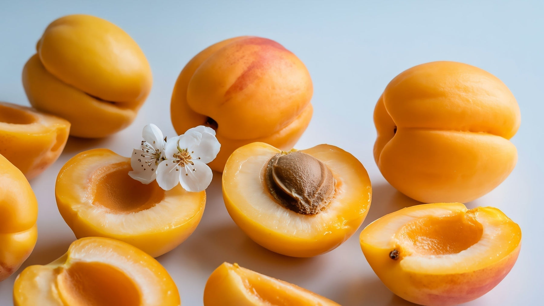 Fresh ripe orange apricots sliced open to reveal the inner pit and kernel, arranged on a clean white background with small white blossoms.
