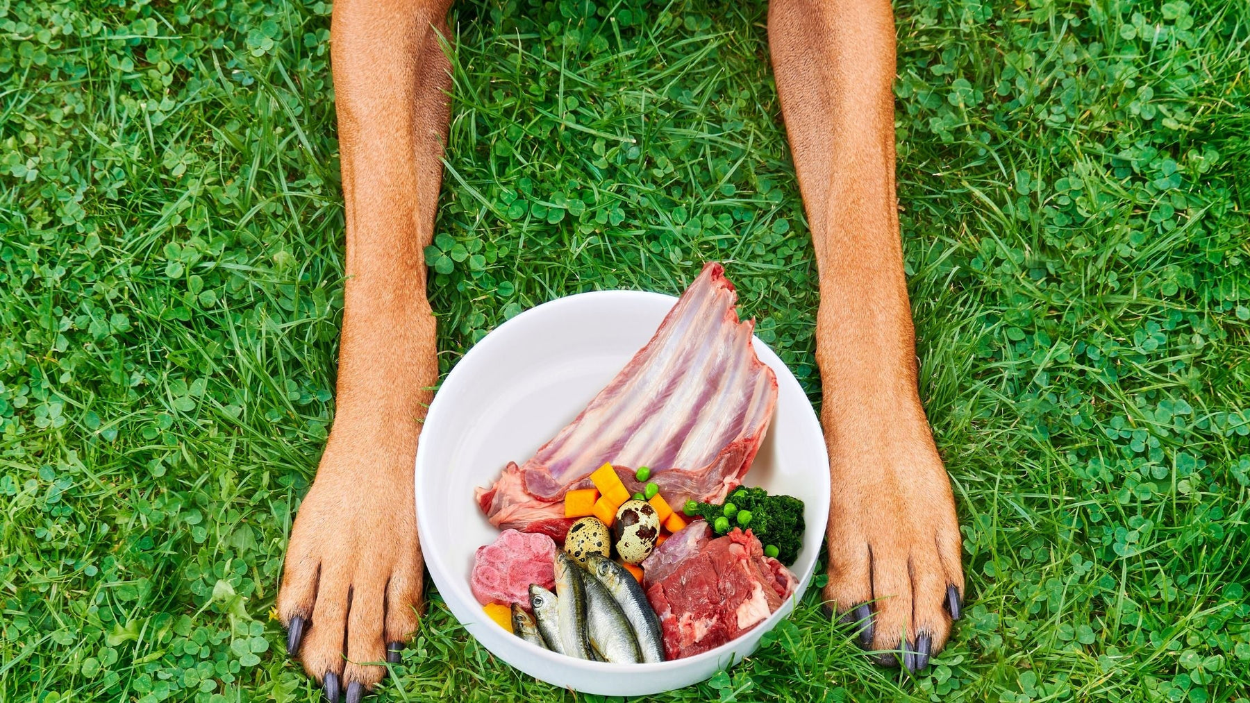 Common allergen foods like eggs, fish, and meat displayed