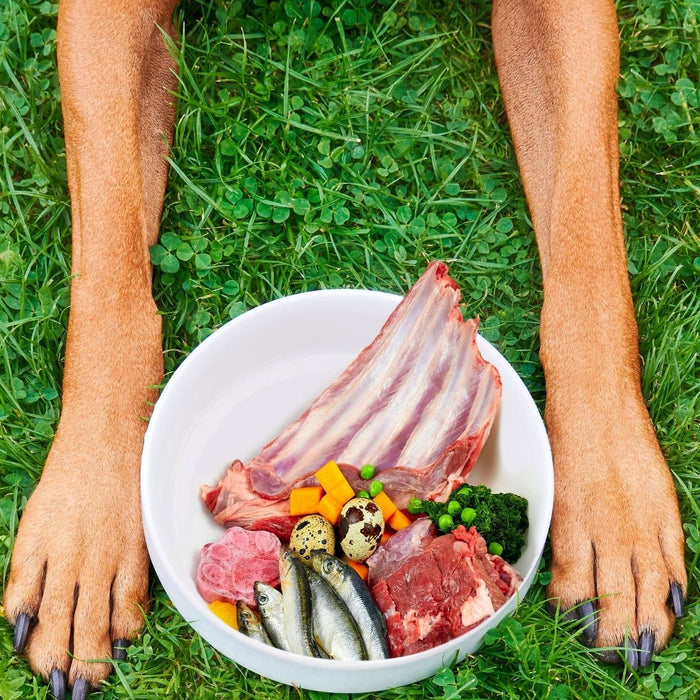 Common allergen foods like eggs, fish, and meat displayed