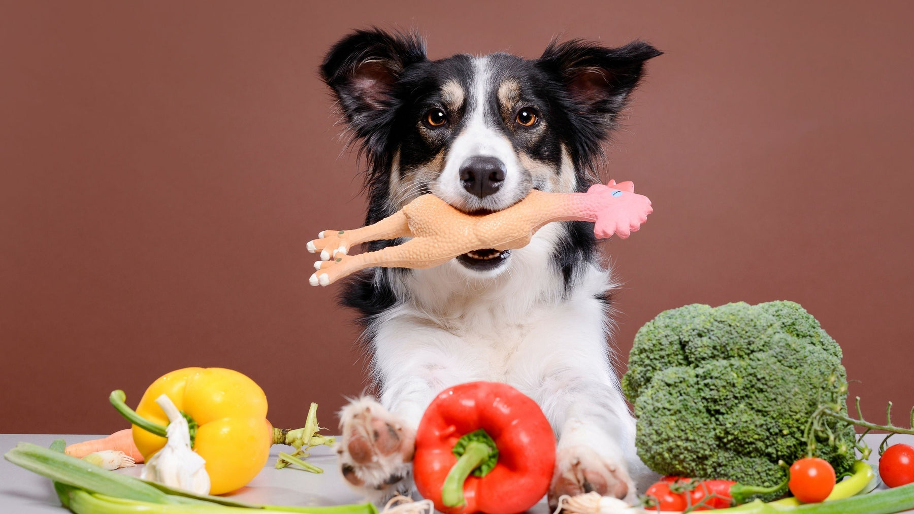 Dog with a chicken toy in its mouth surrounded by vegetables, representing the link between diet and food allergies that can cause itchy skin in dogs.