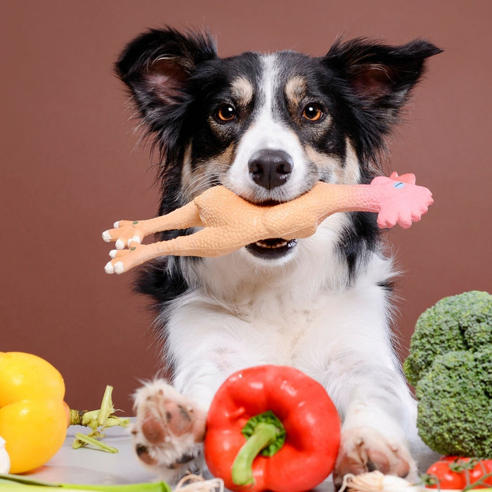 Dog with a chicken toy in its mouth surrounded by vegetables, representing the link between diet and food allergies that can cause itchy skin in dogs.