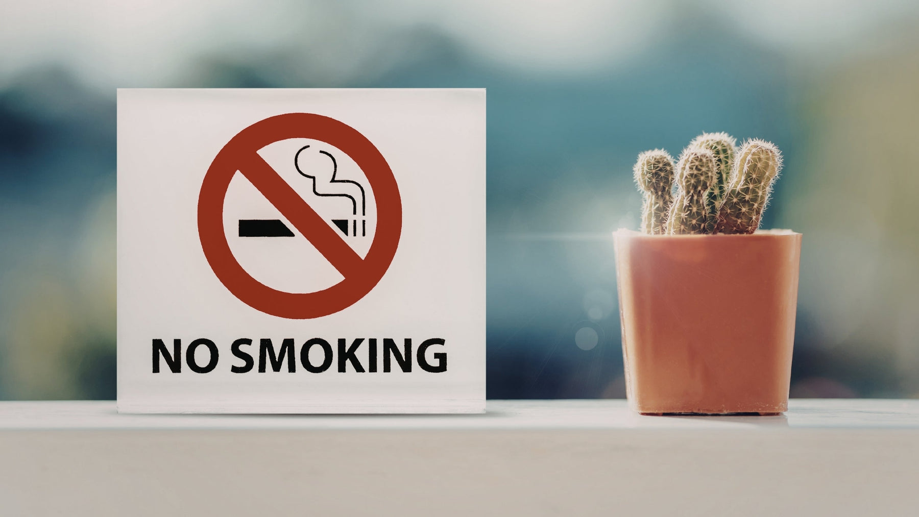 A close-up, minimalist shot of a "No Smoking" sign featuring the classic red circle and slash over a cigarette. Next to the sign is a small, potted cactus on a bright ledge, symbolizing resilience and a fresh, clean environment.