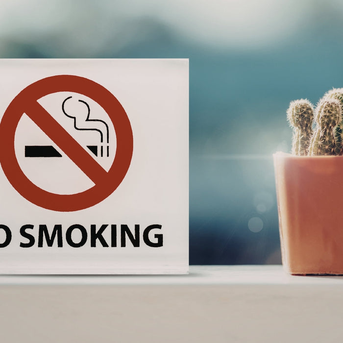 A close-up, minimalist shot of a "No Smoking" sign featuring the classic red circle and slash over a cigarette. Next to the sign is a small, potted cactus on a bright ledge, symbolizing resilience and a fresh, clean environment.