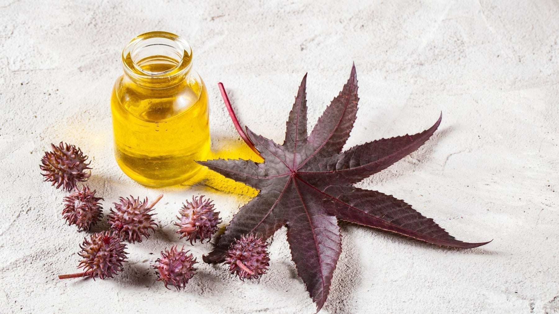 A small glass bottle of golden castor oil placed beside castor beans and a dark red castor plant leaf on a light textured surface.