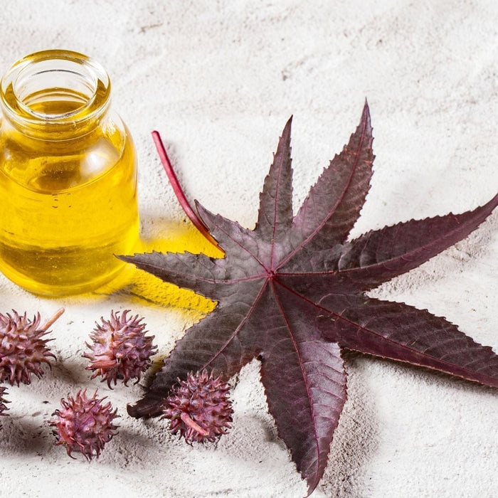 A small glass bottle of golden castor oil placed beside castor beans and a dark red castor plant leaf on a light textured surface.