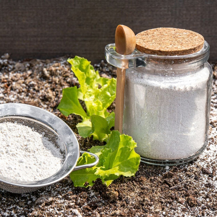 Using Diatomaceous Earth to Manage Pests in the Garden