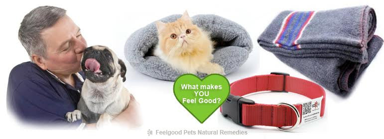 How to keep your Pet snug, safe and warm this winter!