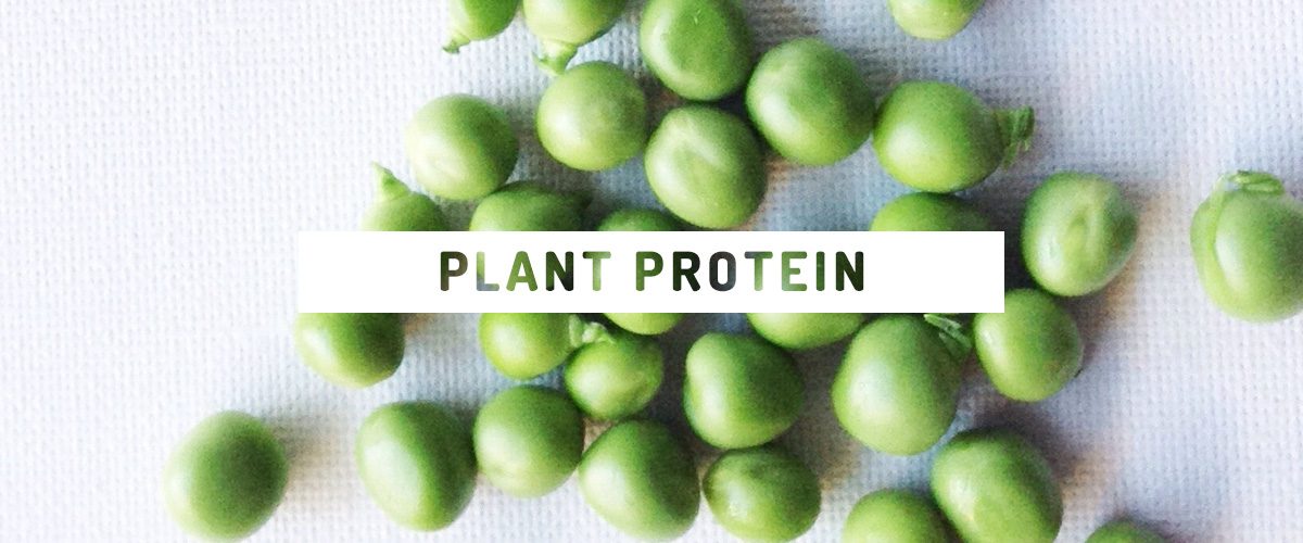 how to get more protein from a plant-based diet