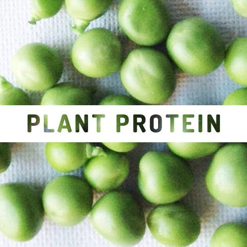 how to get more protein from a plant-based diet