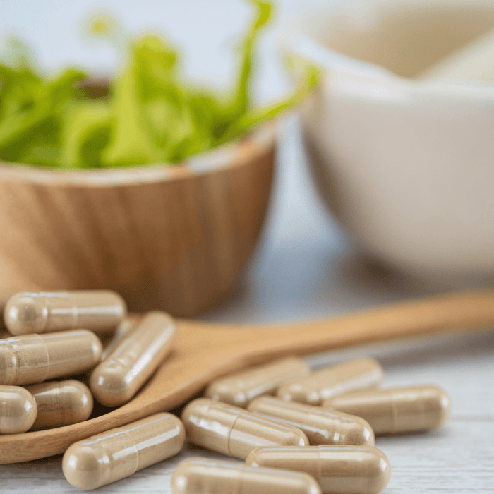 Benefits of Sceletium: Nature's Mood Booster