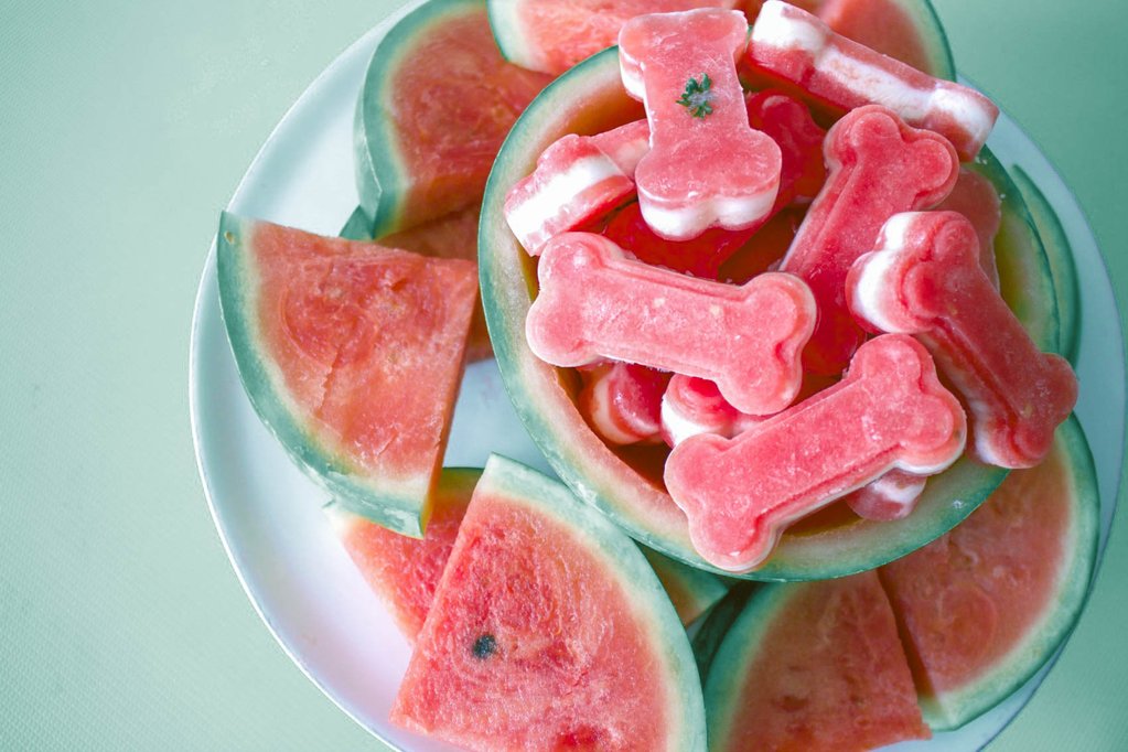 Recipe: Frozen Watermelon Summer Dog Treats