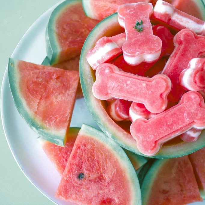 Recipe: Frozen Watermelon Summer Dog Treats