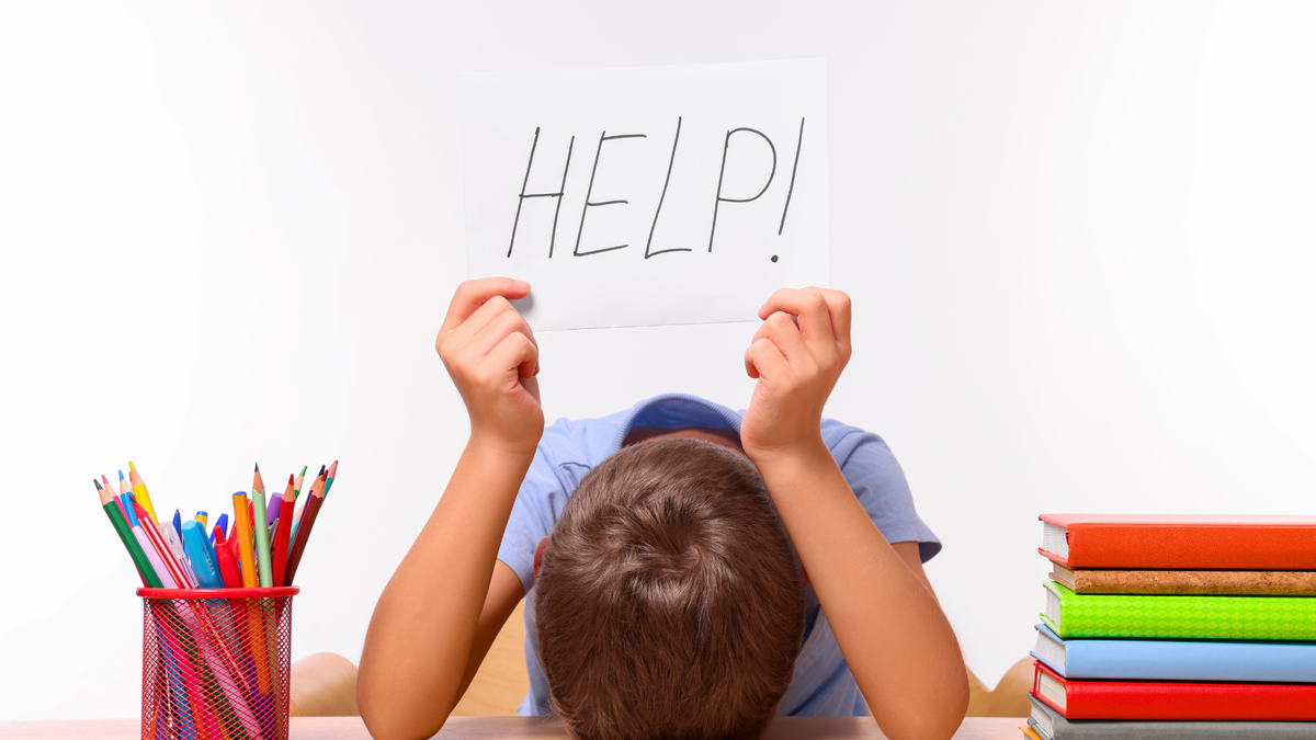 How To Help Your Child Succeed In School: Our Psychologist's Tips ...
