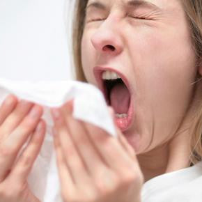 5 allergy tips to save you!