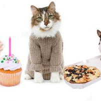 Do YOU spoil your pet? Find out if spoiling your cat or dog is good for them & what you can do
