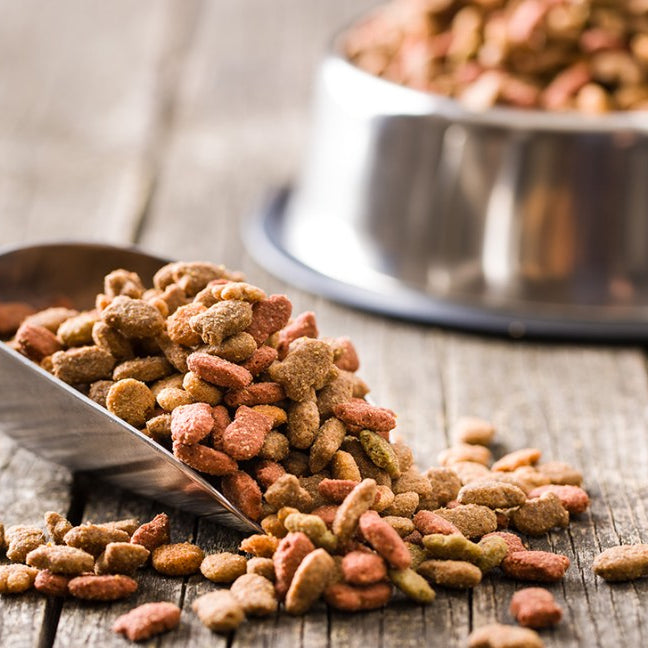 The shocking truth behind store-bought pet food