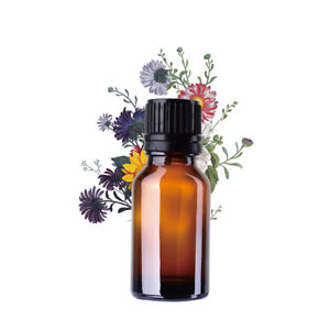 How to use essential oils in everyday living