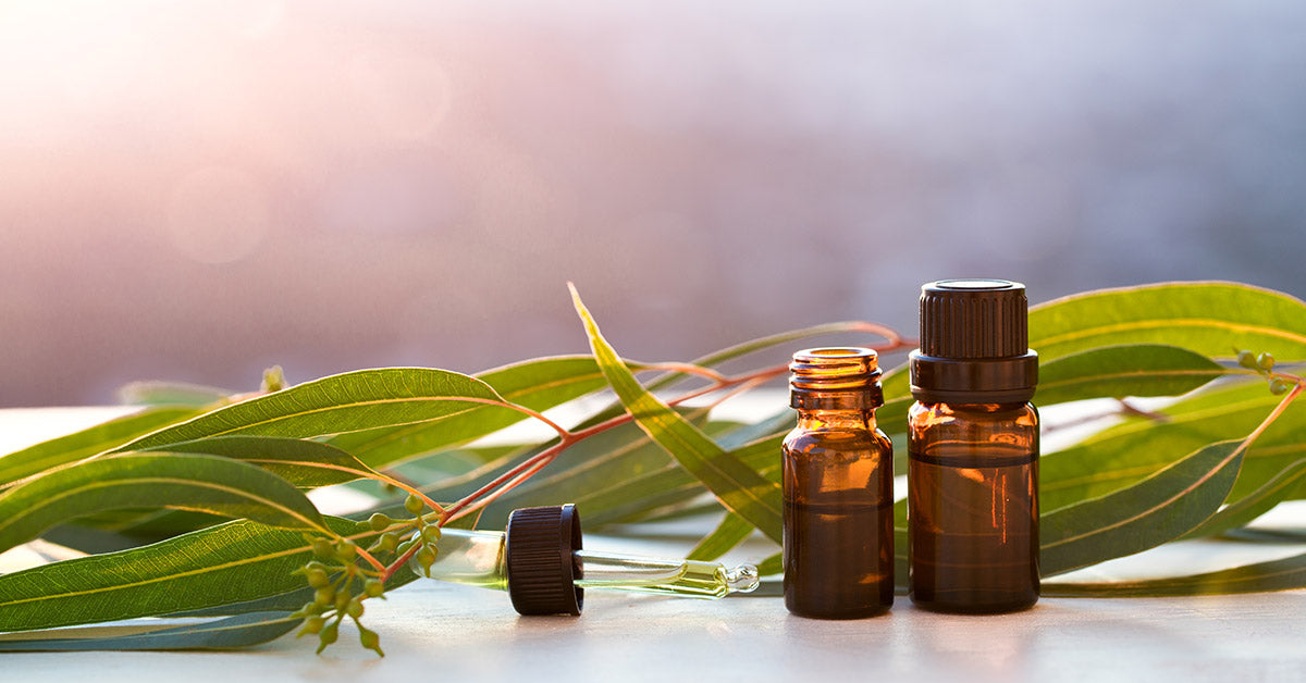 7 Health Benefits of Eucalyptus Essential Oil