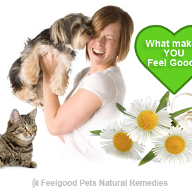 Intestinal Health & Worms: How to keep YOUR dog and cat naturally worm-free!