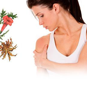 Arthritis? Joint Pain? Pain And Stiffness In Knees, Shoulders, Hips, Hands or Back?