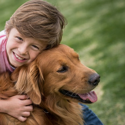 Devil's Claw for Dogs, Cats and Horses: Uses, Dosage and Side Effects