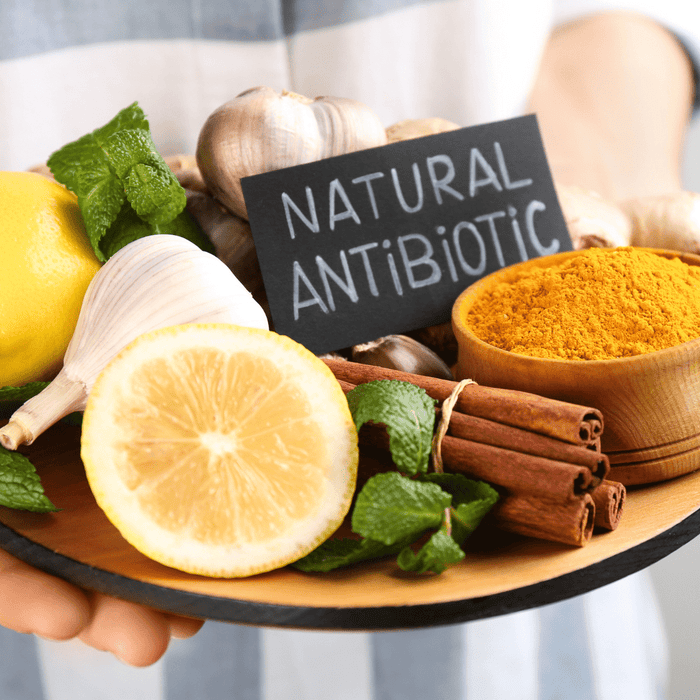 Natural Antibiotics for Kids