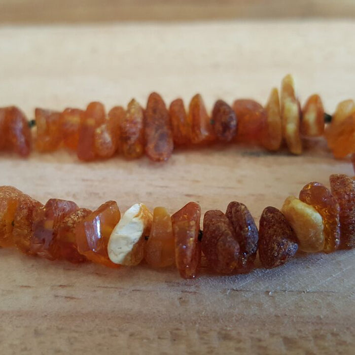 Healing benefits of baltic amber pet collars