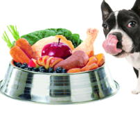  Is your pet a picky eater? Tips to help get your pet to eat normally again!