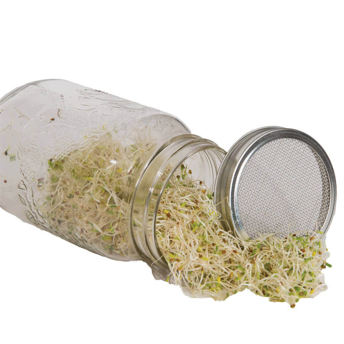 How to use sprouts in daily living and DIY recipes using sprouts
