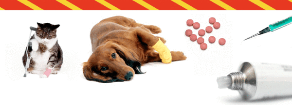 Is your pet taking steroids, anti-inflammatories or cortisone?