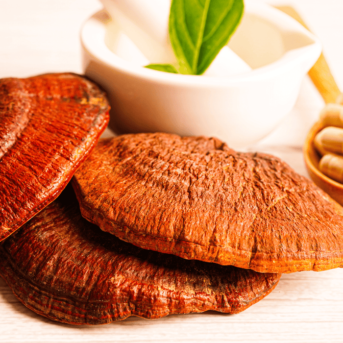  Immune boosting benefits of Turkey Tail