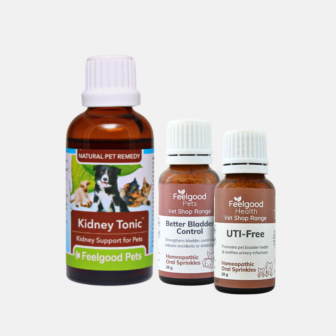 Pet Bladder & Kidneys