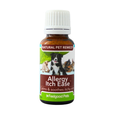 Natural Remedy To Soothe Cats' and Soothe Dogs' Itchy Skin