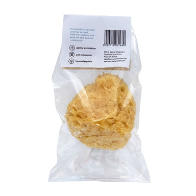 Back view of the BabyNature Gentle Bath Sponge, showing the natural yellow sea sponge in clear packaging with product features and barcode.