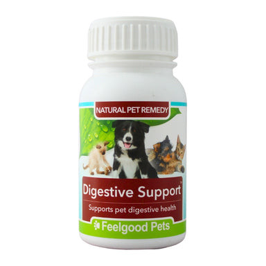 Feelgood Pets Digestive Support - Natural treatment for digestive problems in dogs & cats