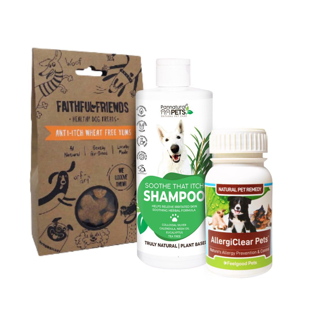 SAVE 20% No itchy doggies with this super-power trio: Anti Itch Wheat Free Yums + Allergy Clear Pets + Anti-Itch Shampoo and Conditioner