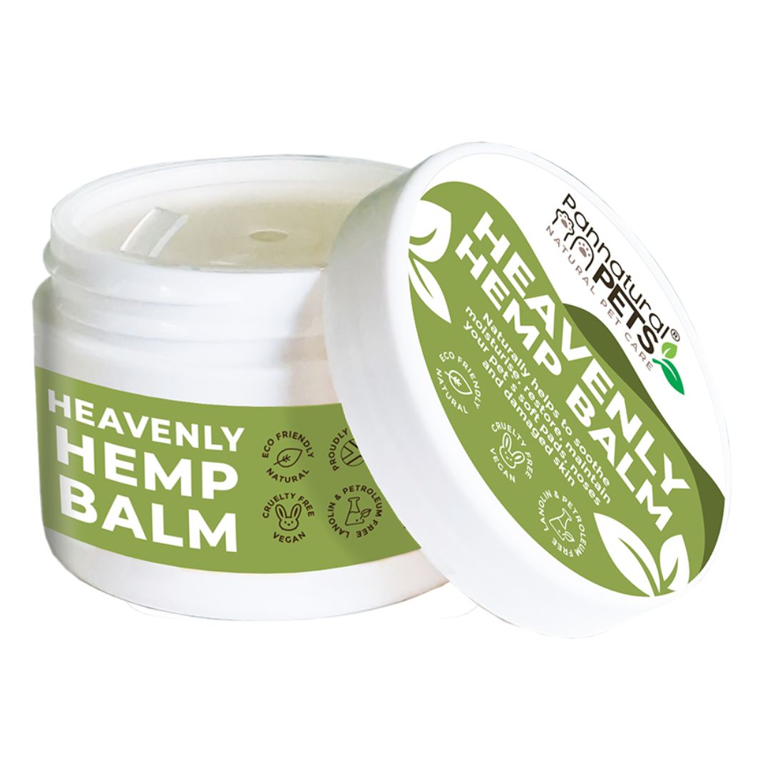 100% natural healing and protective hemp balm for dogs