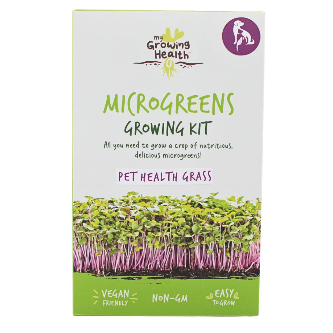 Box of eco-friendly non-GMO microgreens growing kit, containing Pet Grass - nutritious pet supplement