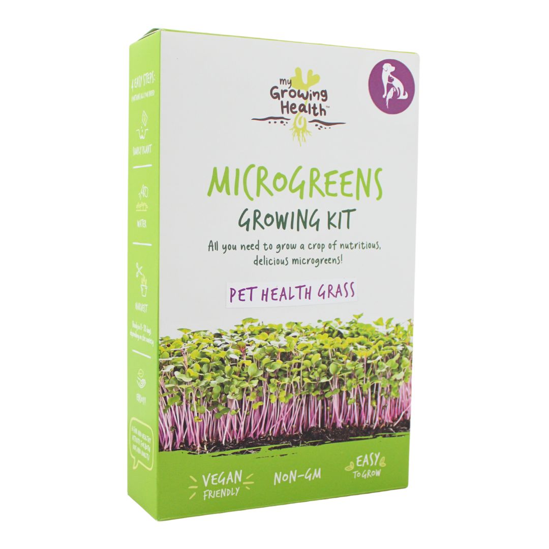 Box of eco-friendly non-GMO microgreens growing kit, containing Pet Grass - nutritious pet supplement