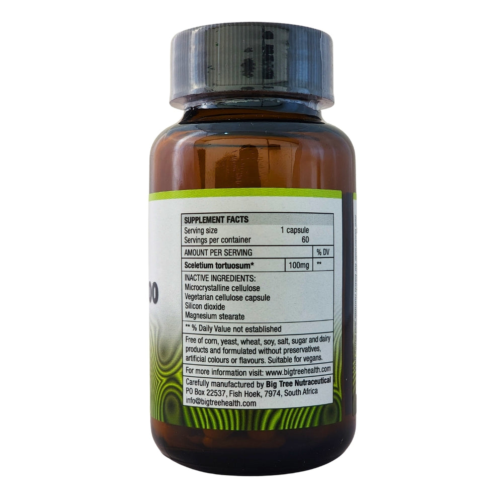 Big Tree Sceletium supplement facts label showing 100mg pure Sceletium Tortuosum vegan capsule ingredients