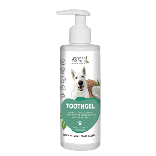 Pets at home dog toothpaste hot sale