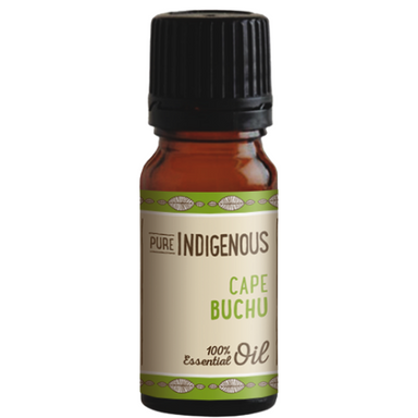 Cape Buchu Essential Oil | Pure Indigenous