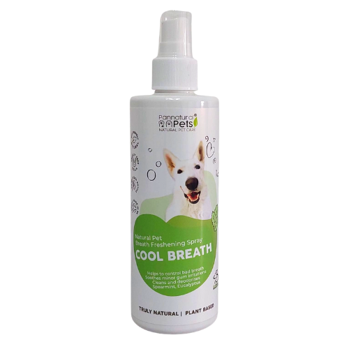 Organic dog breath freshener best sale