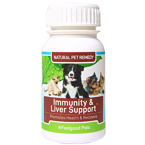Dog immune system supplements online