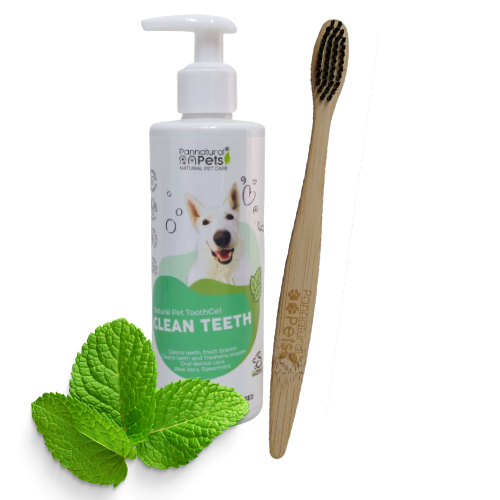 Bamboo Pet Toothbrush & Natural Toothpaste 10% off South Africa