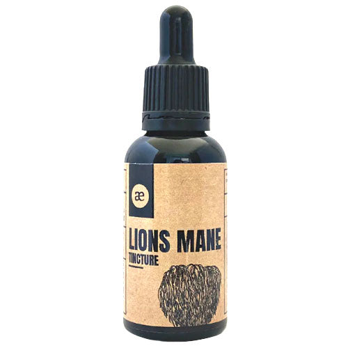 Lion's Mane has vast neurological benefits ﻿to keep your mind in top shape!