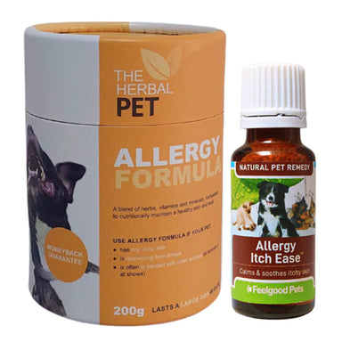 Natural pet allergy remedies to stop the itch and relieve itchy skin